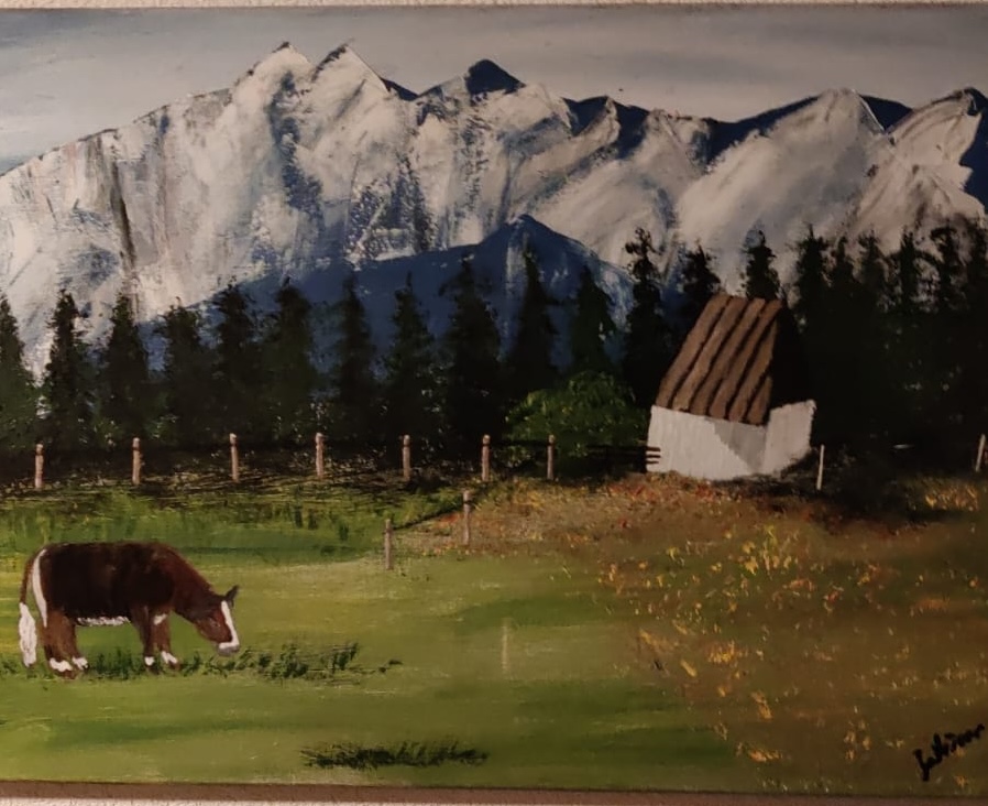 Sommerweide im Alpenland